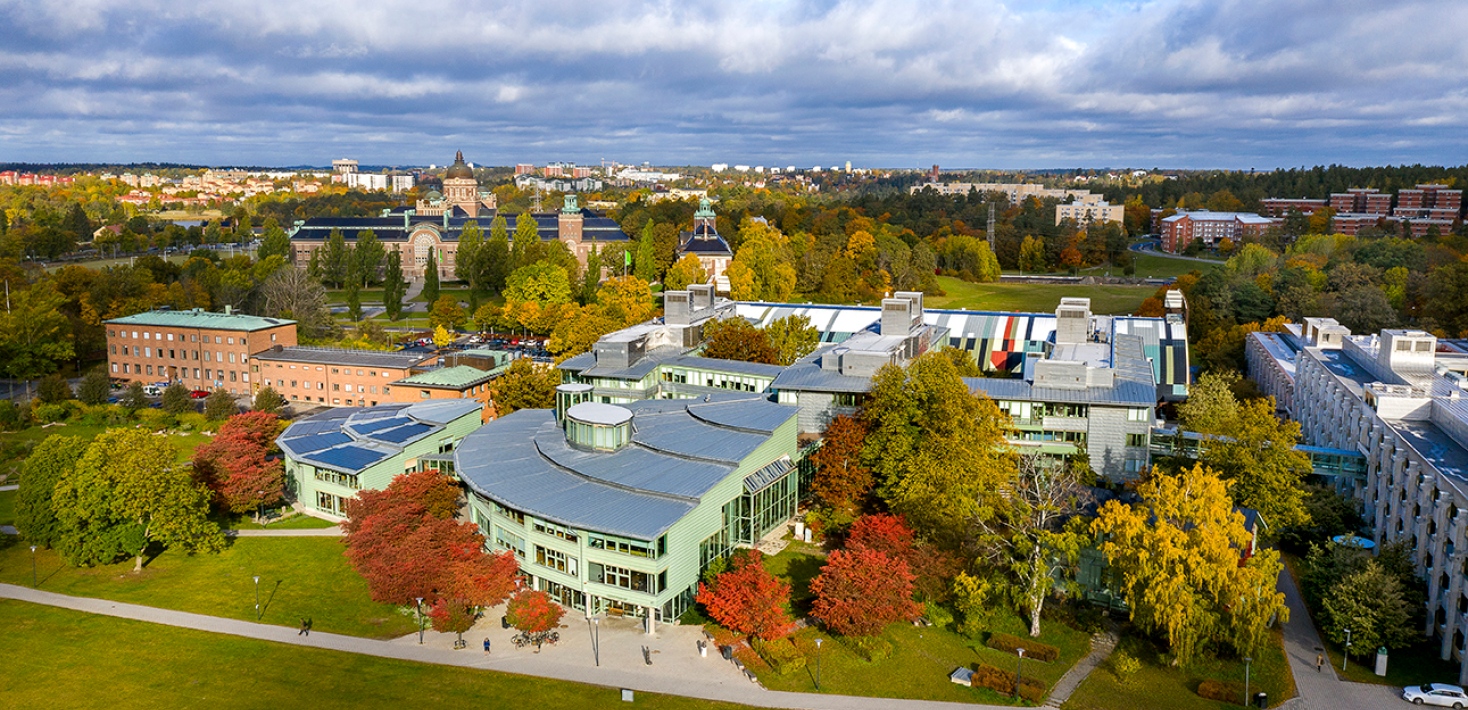 Drönarbild över Stockholms Universitet i höstskrud.