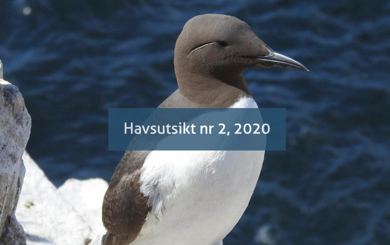 Havsutsikt 2/2020