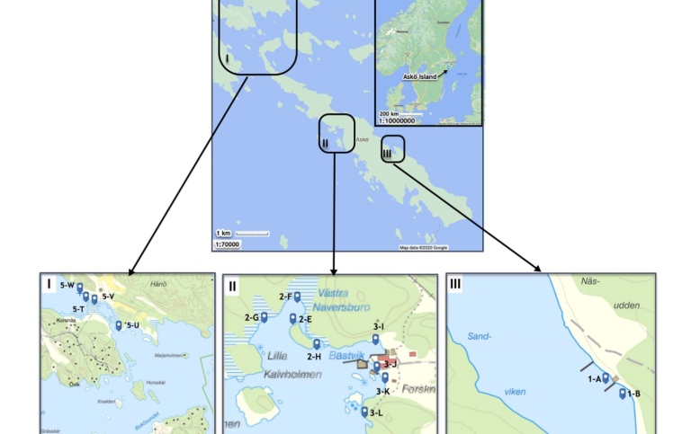 4 diferent maps showing the sampling areas