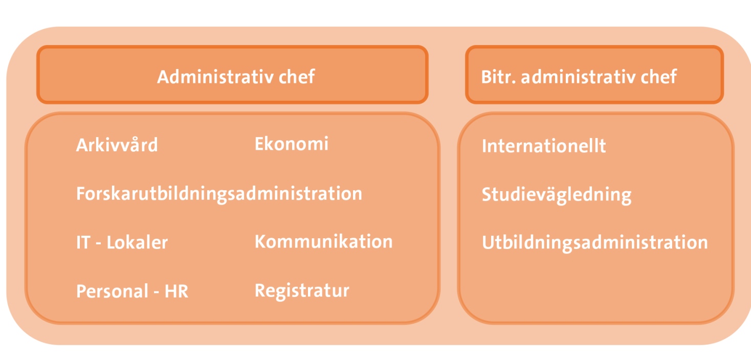 Organisationsmodell för institutionens administrationsgrupp