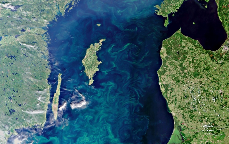 Satellitbild över Östersjön med algblomning sydost om Gotland och Öland