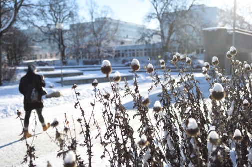 Frescati i vinterskrud 2021. Södra Huset. Foto: Ingmarie Andersson