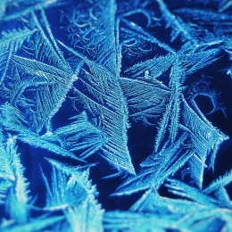 Ice forming a fractal-like pattern