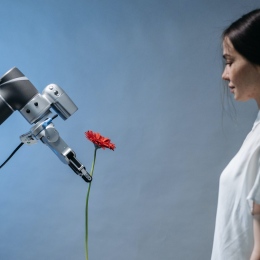 Genre photo: A robot offering a flower to a human. Photo: Pavel Danilyuk/Pexels.