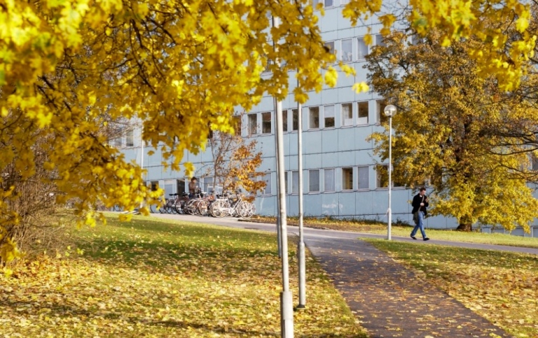 Höst vid Södra huset, Stockholms universitet