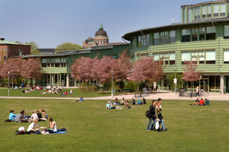 Stockholm University's main