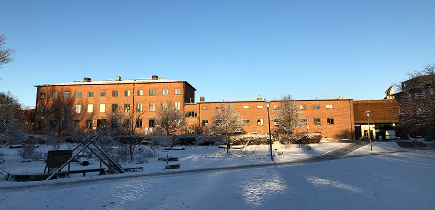 Brown brick buildings, in front of them a lawn covered with snow