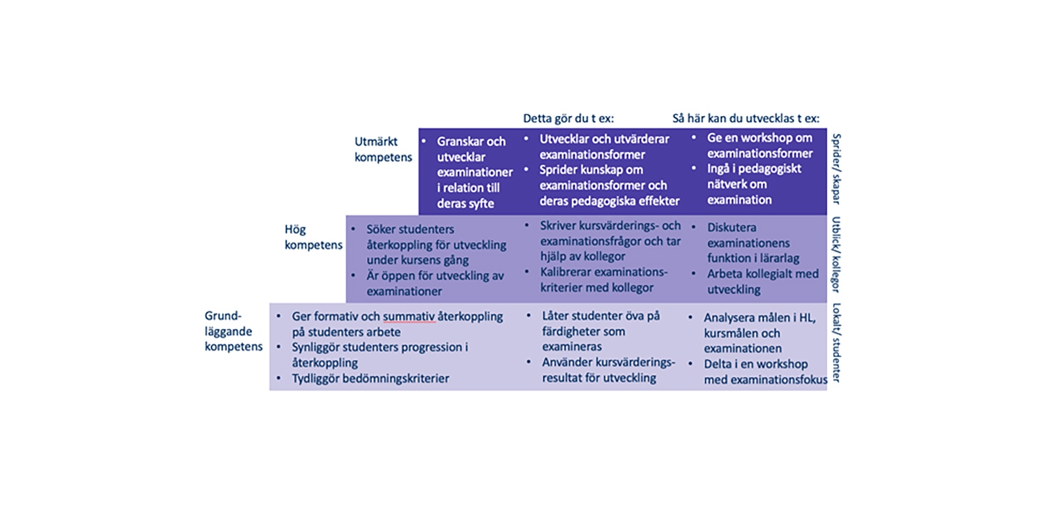 Figur 4: Exempel på aktiviteter på olika kompetensnivåer för akademiskt lärarskap inom dimensionen Examination.