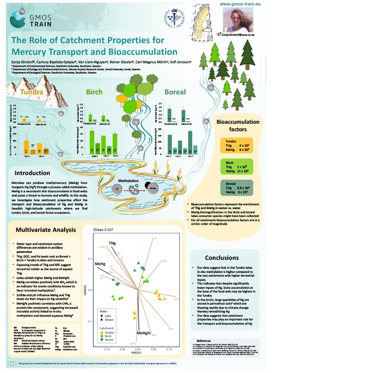 Scientif poster by Sonja Gindorf