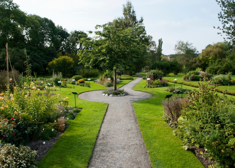 Bild från Bergianska trädgården. Foto: Eva Dahlin