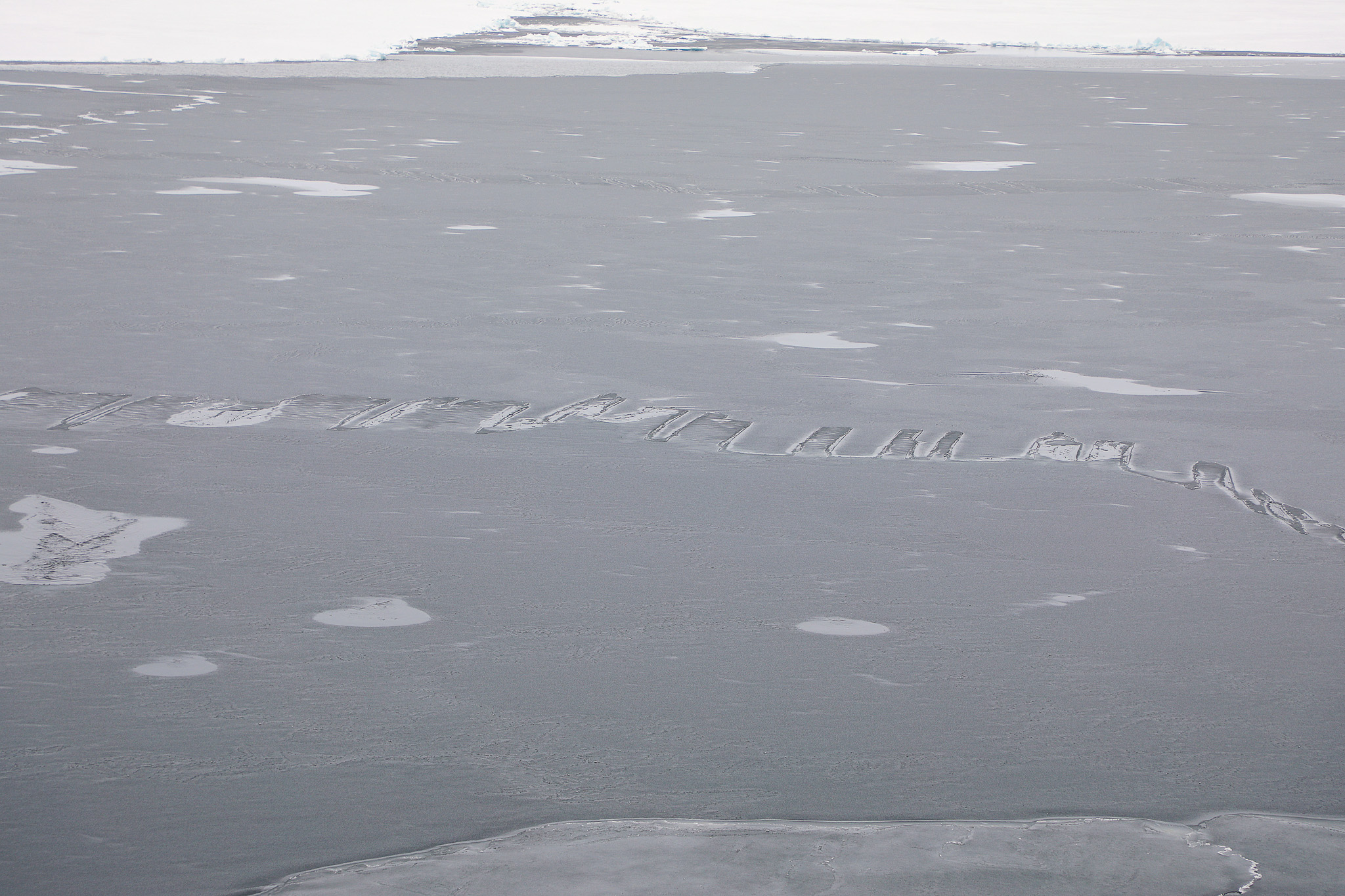 Caption: Grease ice forming on open water areas, pictured here with finger rafting.