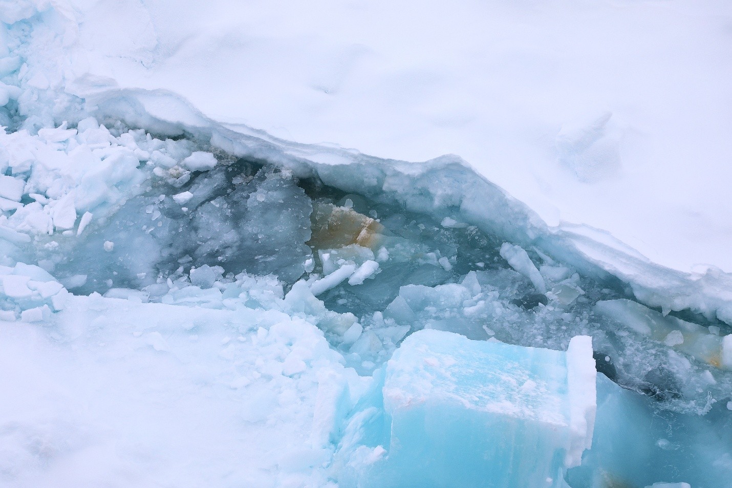 Caption: Some hints of algae on the bottom of overturned ice chunks.