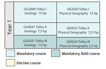 year 1 courses