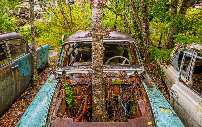 Anthropocene