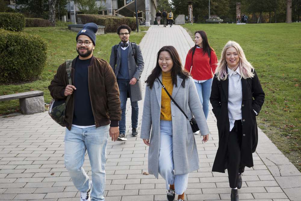 En grupp studenter gå på en väg genom campuset.