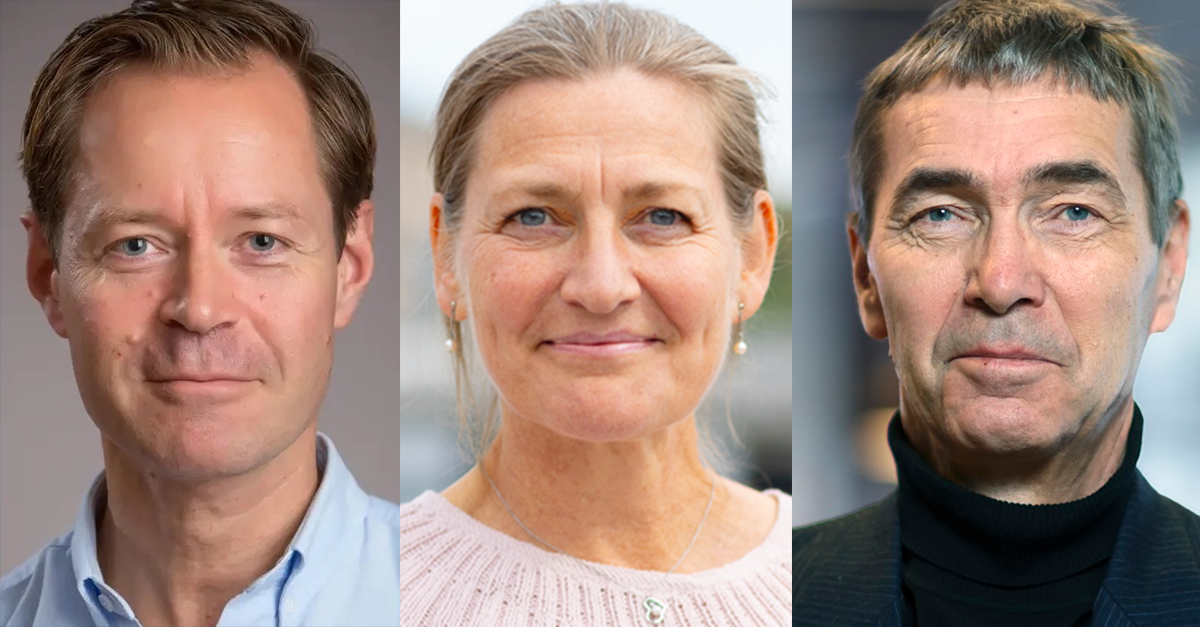 Måns Molander, Irina Schoulgin Nyoni and Pål Wrange. Photo: HRW, Personal photo and Sören Andersson/Stockholm University