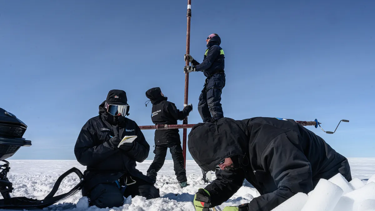 close shot of people working on the ice with different task.