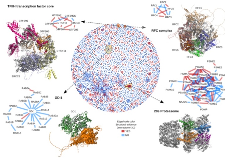 Protein Structure
