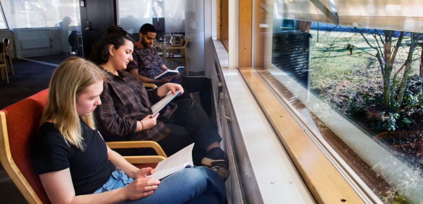 Läsande studenter på rad på studieplatserna på plan 5, Stockholms universitetsbibliotek.