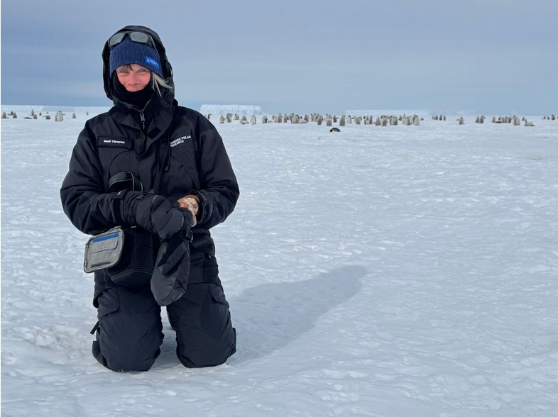 Person standing on its knees in Antarctica with penguins in the background.