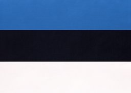 Estlands flagga. Foto: Anastasiia Guseva/MostPhotos