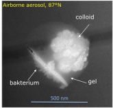 Tropospheric Chemistry