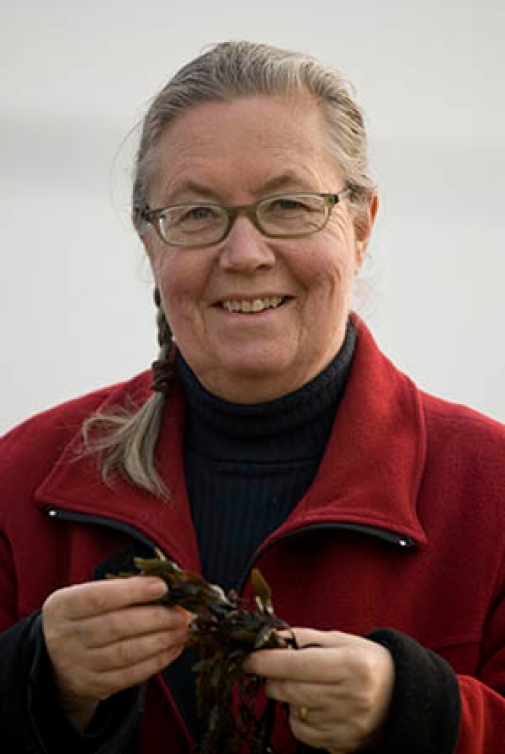 Lena Kautsky Lena Kautsky