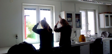Laboratoriearbete