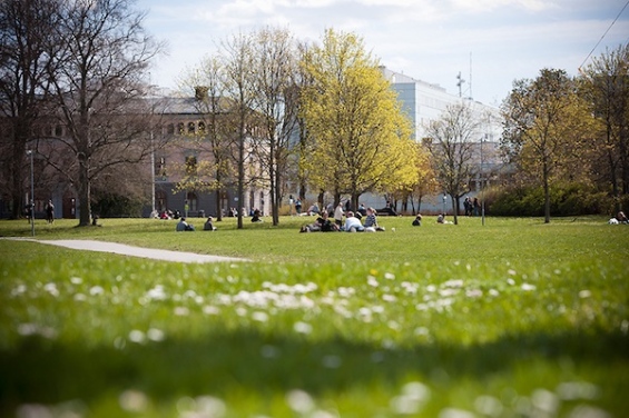 Sommar på campus