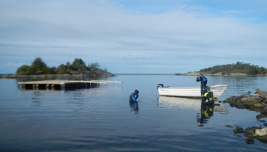 Havets komplexitet kräver kunskap om de processer som sker i havet