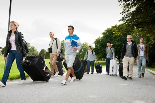 Group with suitcases travel image