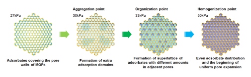 Schematic illustration of gas adsorption process.