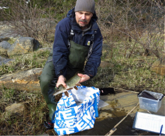 Arrendatorn Johan Wenngren mäter en av de fångade gäddorna innan den sätts ut igen. Foto: Joakim Hansen
