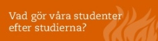 Vad gör våra studenter efter studierna?
