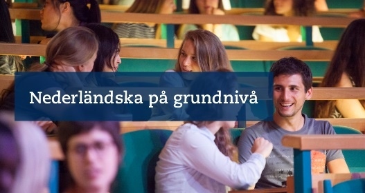 Nederländska på grundnivå