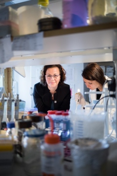 Eva Sverremark Ekström och studenten Gintare Lasaviciute tittar på resultaten av experiment med hur celler i immunförsvaret aktiveras av ligander från tarmbakterier.. Foto: Nilas Björling