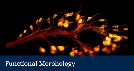 Photo: Mikael A Carlsson