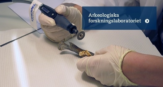 Laboratoriedetalj
