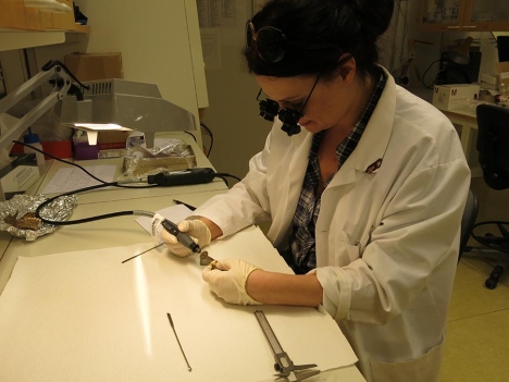 Laboratoriebild