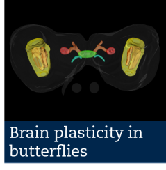 Photo: Mikael A Carlsson