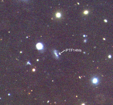 This picture of iPTF14hls (at the arrow) was taken in October 2017 with the Nordic Optical Telescope on La Palma. The host galaxy looks like an irregular, blue bar. The image field of view is about 6 arc minutes (1/5 of a lunar diameter in the sky) on each side. Colour image composite made by Francesco Taddia.