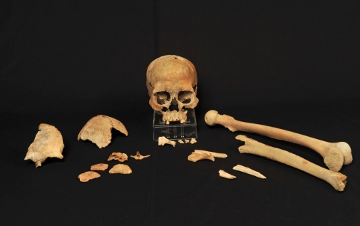 Skelettfragment från Hummerviksholmen, foto: Beate Kjörslevik