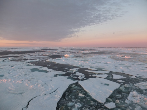 Utsikt över havsisen, Östra Sibiriska havet, Arktiska havet. Foto: Lisa Bröder