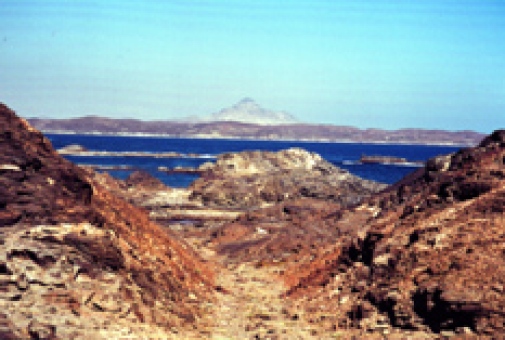 Oman Orthogneiss of southern Oman