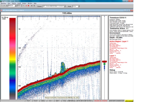 Screen capture showing gas seeps from continental slope off western Greenland. Disturbances are from additional echo sounder.