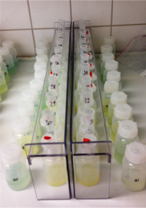 Llgl Low Level Gold Lab Department Of Geological Sciences