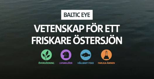 Baltic Eye MF