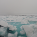 Expedition: Arctic Ocean 2018