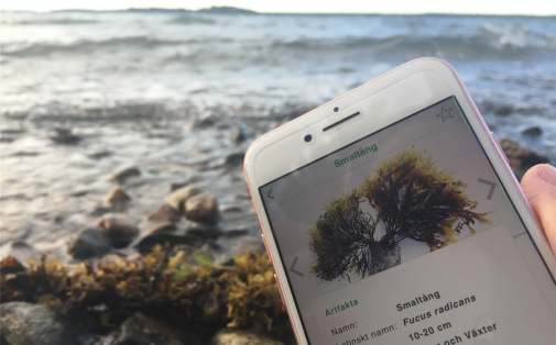 Livet i havet som app