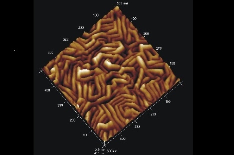 AFM image of a Nb thin film
